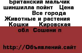 Британский мальчик шиншилла-пойнт › Цена ­ 5 000 - Все города Животные и растения » Кошки   . Кировская обл.,Сошени п.